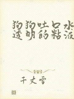 狗狗吐口水一样透明的粘液