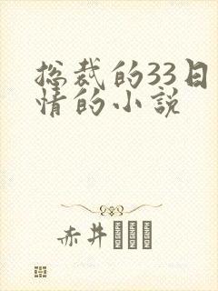 总裁的33日索情的小说