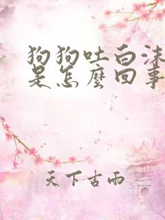 狗狗吐白沫拉稀是怎么回事