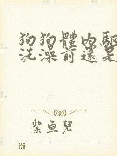 狗狗体内驱虫是洗澡前还是洗澡后用