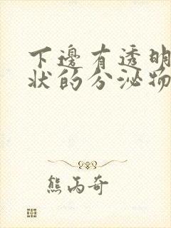 下边有透明果冻状的分泌物