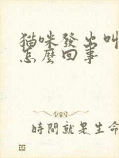 猫咪发出叫声是怎么回事