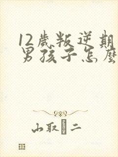 12岁叛逆期的男孩子怎么去引导