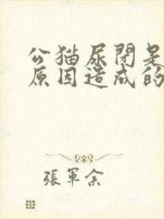 公猫尿闭是什么原因造成的