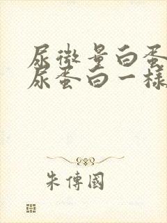 尿微量白蛋白和尿蛋白一样吗