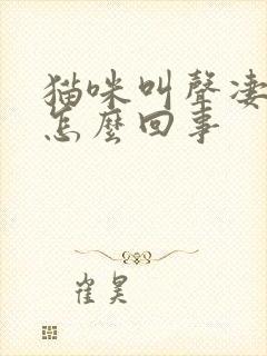 猫咪叫声凄惨是怎么回事