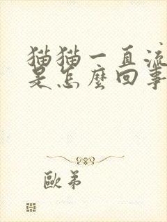 猫猫一直流口水是怎么回事