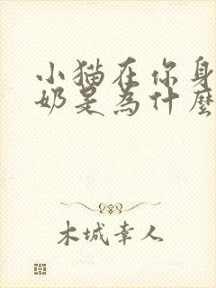 小猫在你身上踩奶是为什么