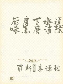 厨房下水道的臭味怎么消除