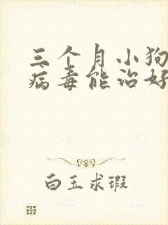 三个月小狗细小病毒能治好吗