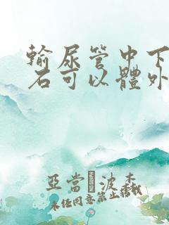 输尿管中下段结石可以体外震波碎石吗