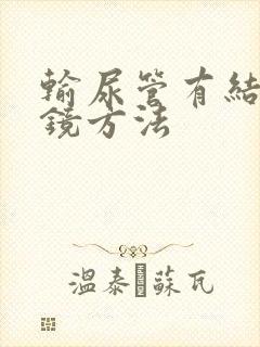 输尿管有结石软镜方法