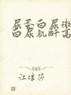 尿蛋白尿微量蛋白尿肌酐高是怎么回事