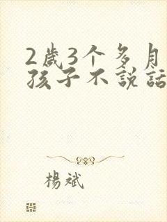 2岁3个多月的孩子不说话怎么回事