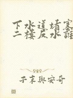 下水道堵塞导致二楼反水谁负责