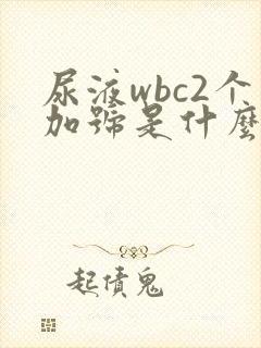 尿液wbc2个加号是什么意思