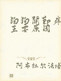 狗狗关节疼痛的主要原因