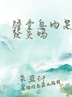 胆囊息肉是胆囊发炎吗