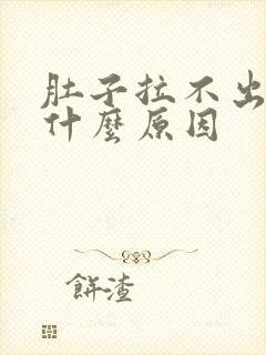 肚子拉不出屎是什么原因