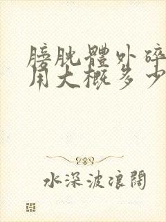 膀胱体外碎石费用大概多少钱