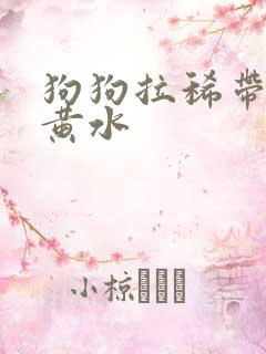 狗狗拉稀带血吐黄水