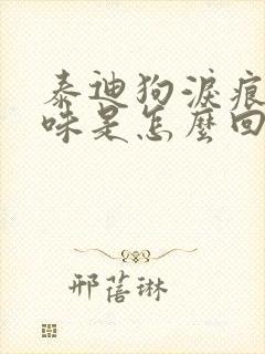 泰迪狗泪痕有臭味是怎么回事