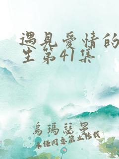 遇见爱情的利先生第41集