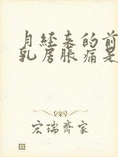 月经来的前几天乳房胀痛是怎么回事