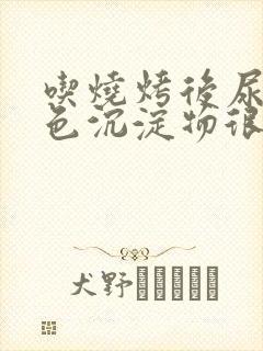 吃烧烤后尿液白色沉淀物很多