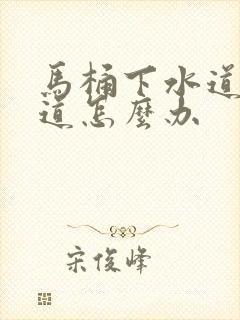 马桶下水道有味道怎么办