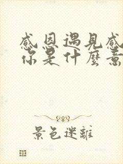 感恩遇见感恩有你是什么意思