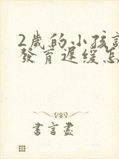 2岁的小孩语言发育迟缓怎么办