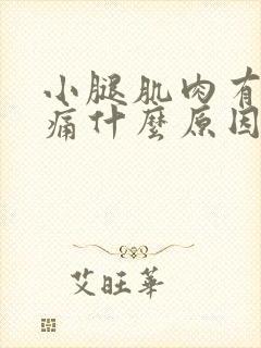 小腿肌肉有点酸痛什么原因