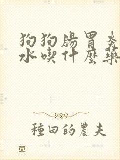 狗狗肠胃炎吐黄水吃什么药