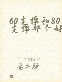 60支棉和80支棉哪个好
