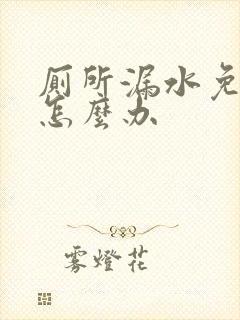 厕所漏水免砸砖怎么办