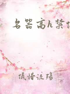名器高h禁伦
