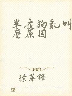 半夜狗乱叫是什么原因