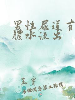 男性尿道有白色脓水流出