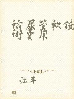 输尿管软镜碎石术费用