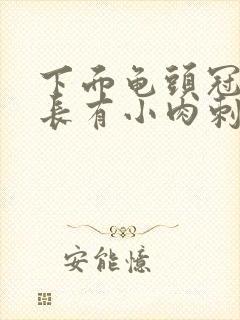 下面龟头冠状沟长有小肉刺