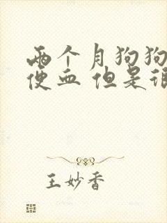 两个月狗狗拉稀便血 但是很精神