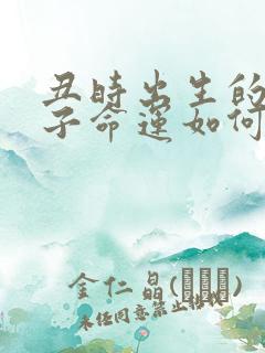 丑时出生的男孩子命运如何