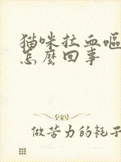 猫咪拉血呕吐是怎么回事