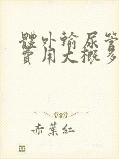 体外输尿管碎石费用大概多少钱