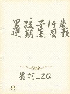 男孩子14岁叛逆期怎么教育