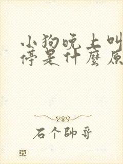 小狗晚上叫个不停是什么原因