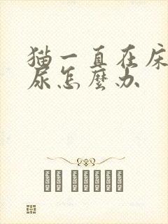 猫一直在床上拉尿怎么办