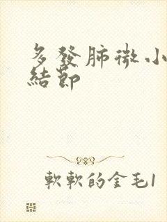 多发肺微小实性结节