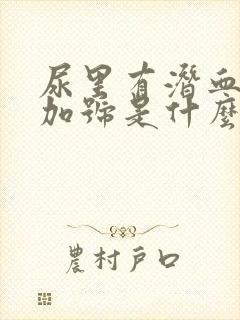 尿里有潜血一个加号是什么原因呢